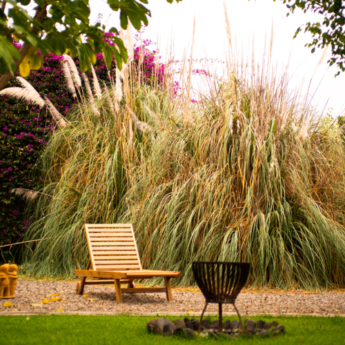 26 Liegewiese Yogahaus small