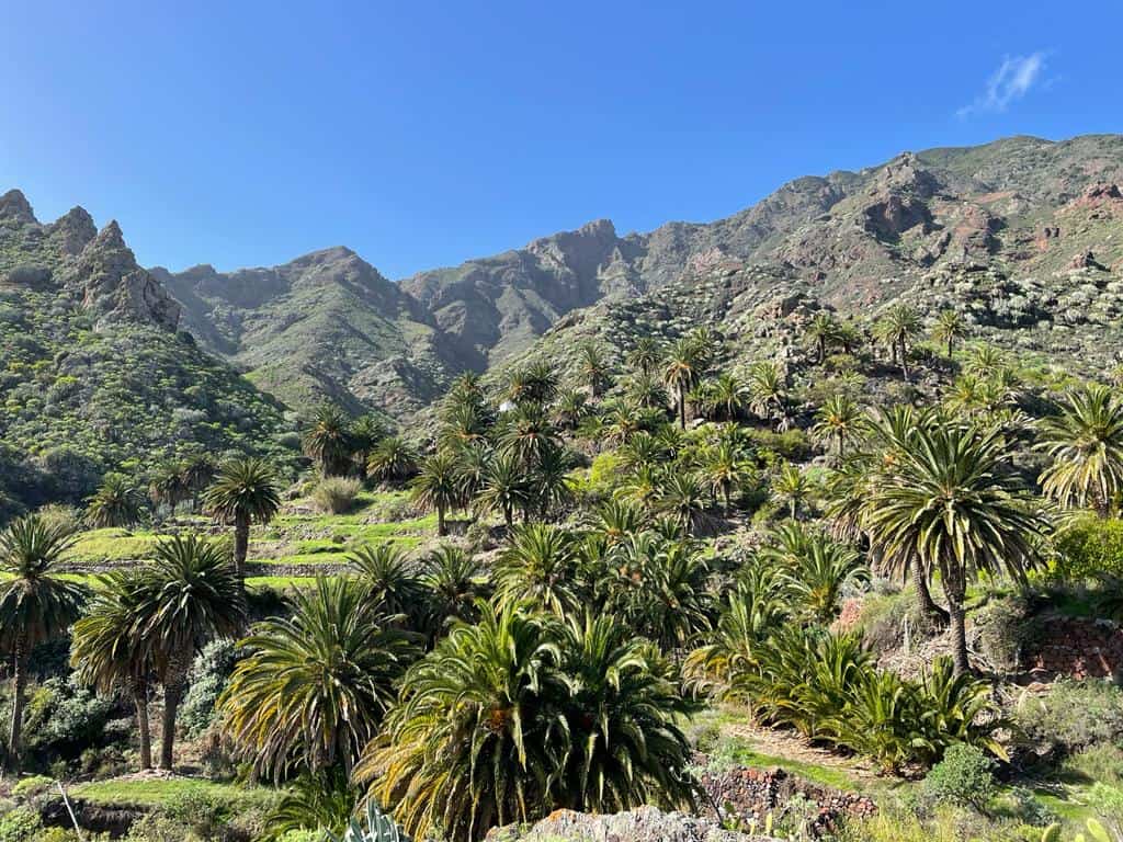 Teneriffa_Yoga_Ayurveda_Retreat013