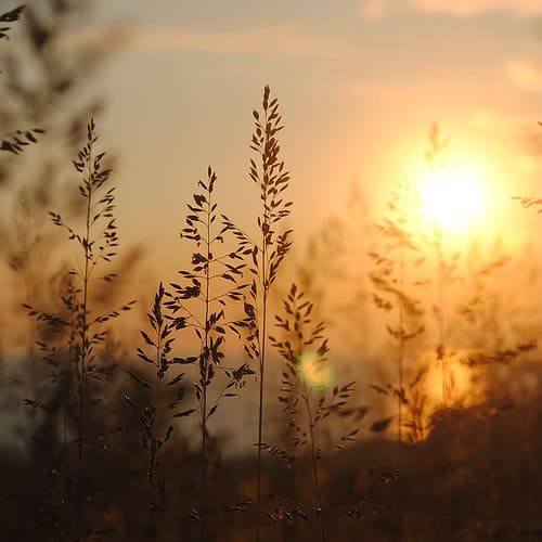 Retreat_Engel_Algäu