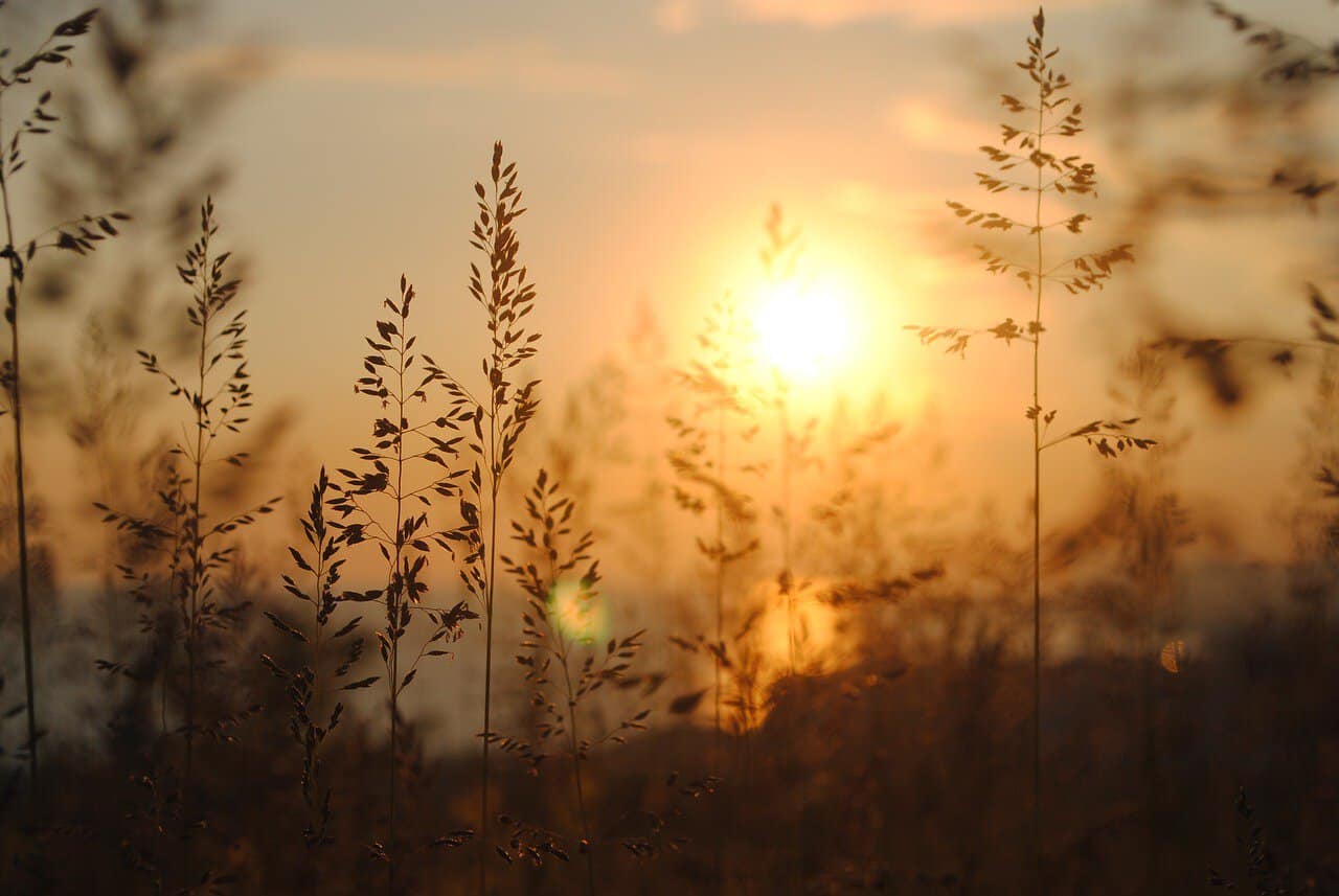 Retreat_Engel_Algäu