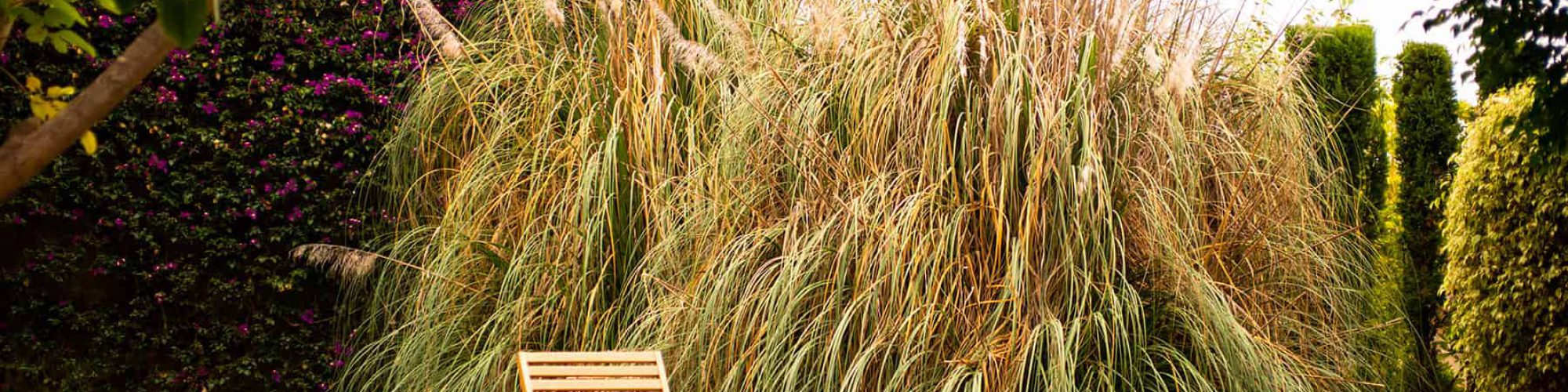 26 Liegewiese Yogahaus small