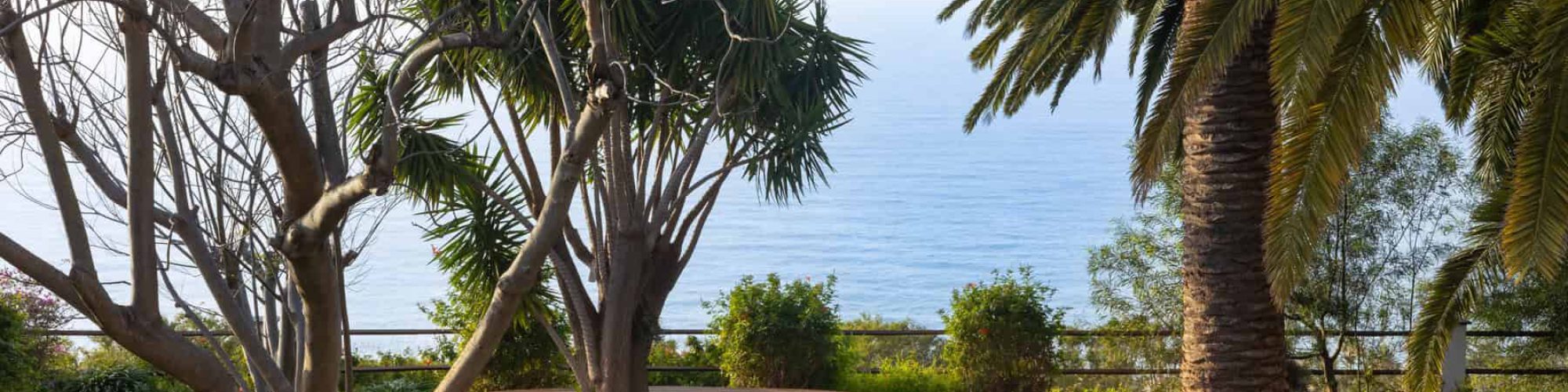 Finca_Soluna_63